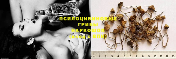 jwh Арсеньев