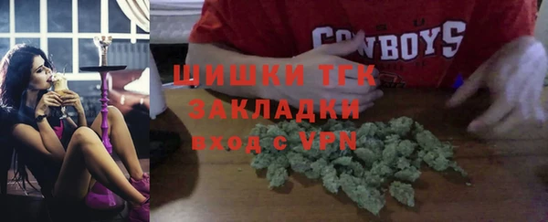 сатива Армянск