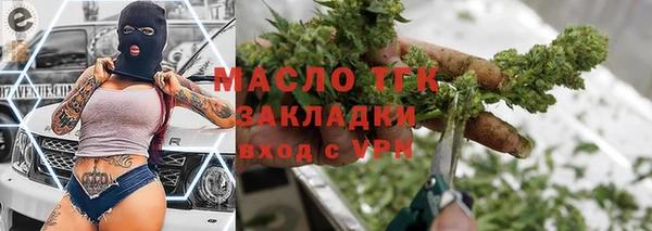 гашик Михайлов