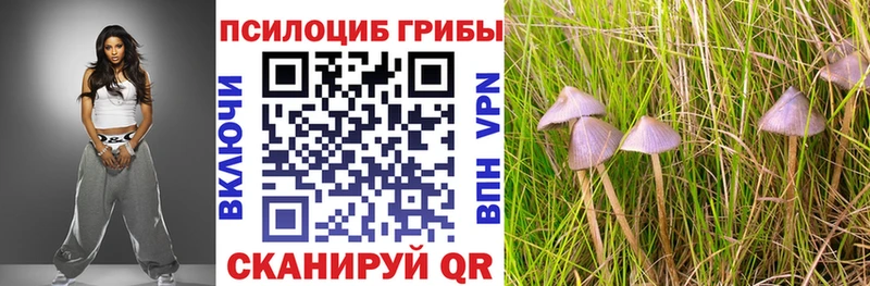 kraken ТОР  Новая Ляля  Псилоцибиновые грибы Magic Shrooms 